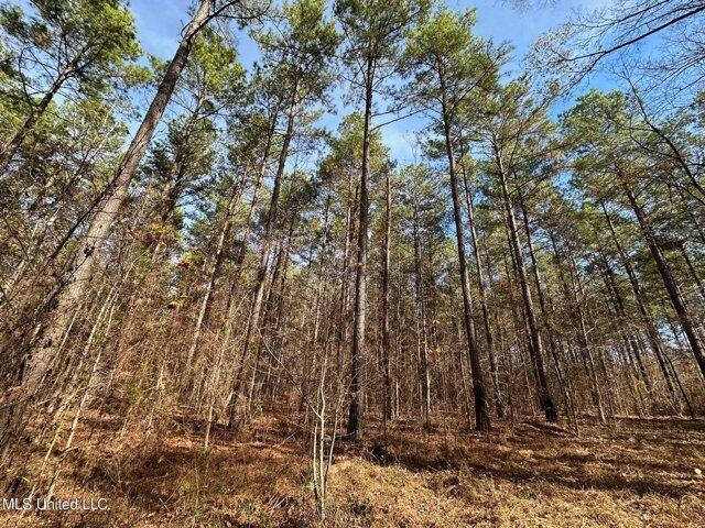 Plot For Sale In Terry, Mississippi
