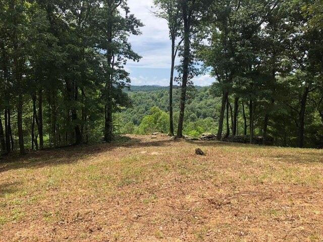 Plot For Sale In Hilham, Tennessee