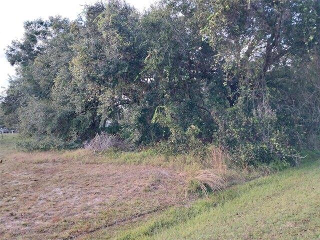 Plot For Sale In Kenansville, Florida