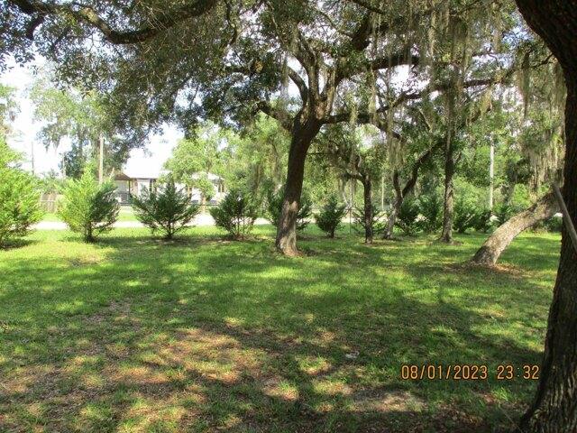 Plot For Sale In Perry, Florida