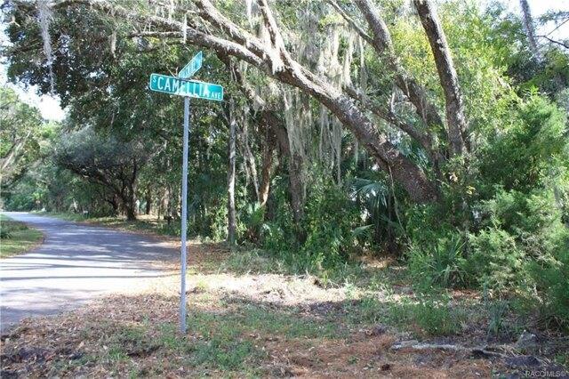 Plot For Sale In Crystal River, Florida