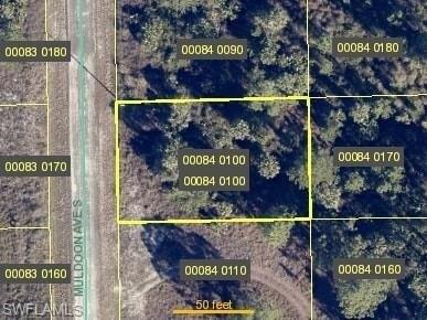 Plot For Sale In Lehigh Acres, Florida
