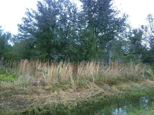Plot For Sale In Okeechobee, Florida