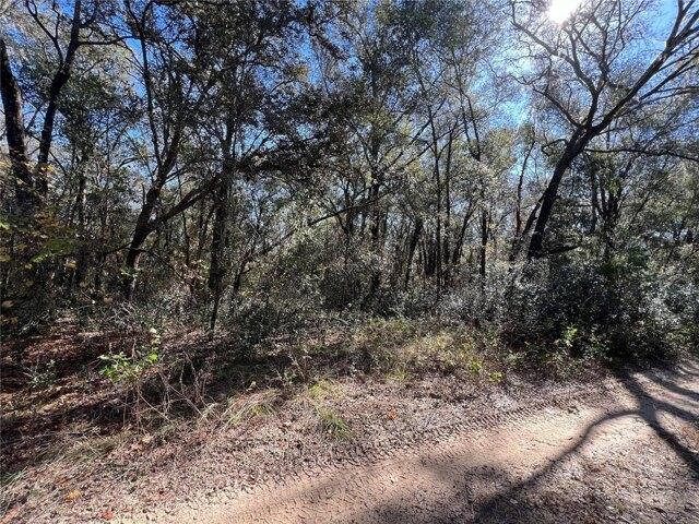 Plot For Sale In Inverness, Florida