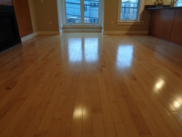 2 bedroom in Cambridge MA 02138 for Rent