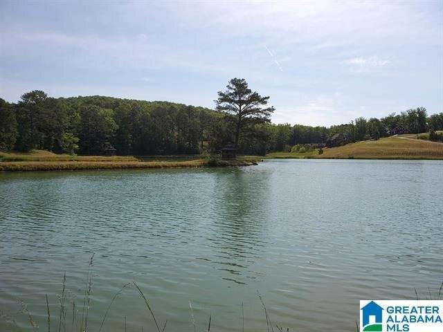 Plot For Sale In Springville, Alabama