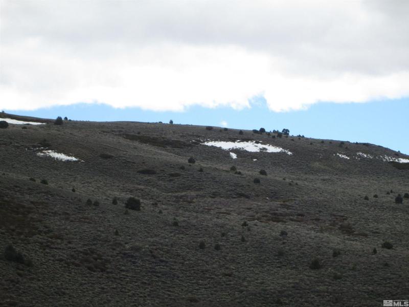Virginia City, Storey County, NV Undeveloped Land for sale Property ID: 417692685