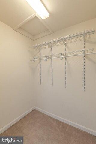Condo For Rent In Arlington, Virginia