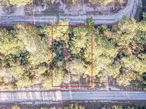 Lot 7 S Estate Dr, Trinity, TX 75862 for Sale