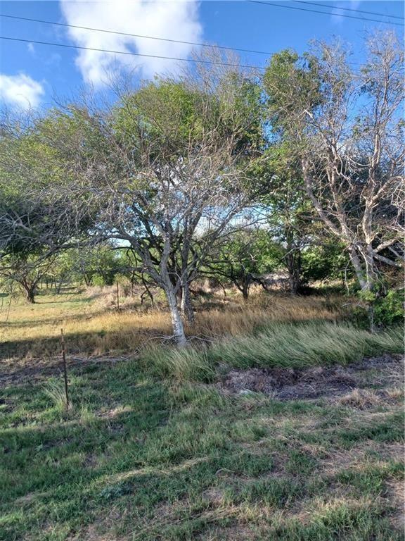 000 County Rd 1360 & Fm 631, Taft, TX 78390 for Sale