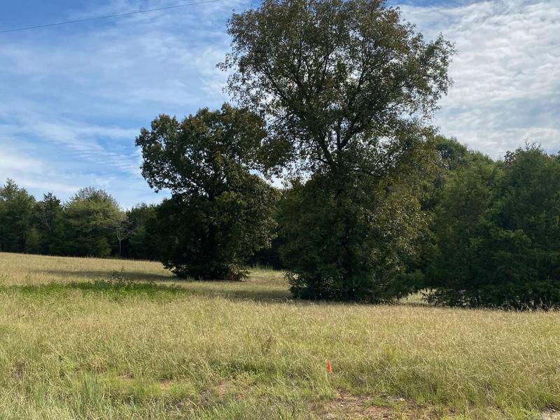 Lot 20 Castlepines Drive, Greenbrier, AR 72058  603625542 for Sale