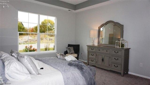 Condo For Sale In Poland, Ohio