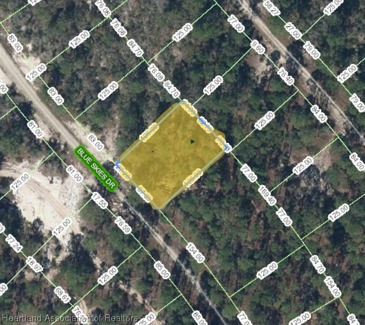 507 BLUE SKIES DR, Lake Placid, FL 33852 Single Family Residence For Sale  MLS# 296976