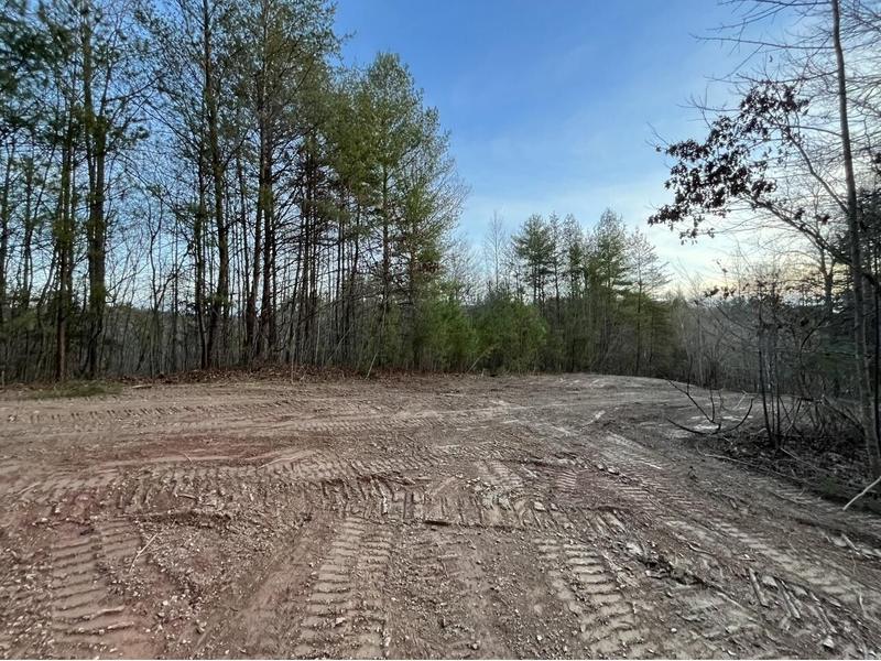 Reliance, Polk County, TN Undeveloped Land, Lakefront Property, Waterfront Property for sale Property ID: 418105841