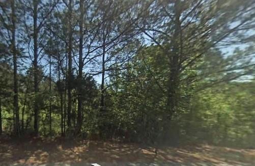 0 PULLEN ROAD, Rome, GA 30161 Single Family Residence For Sale  MLS# 7198761