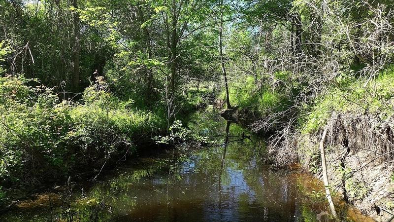 00 County Road 127, Ledbetter, TX 78946 for Sale