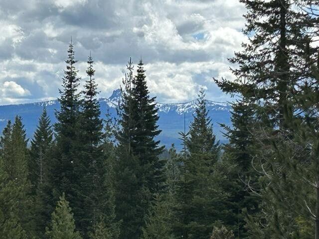 Crescent, Klamath County, OR Undeveloped Land, Homesites for sale Property ID: 416845580
