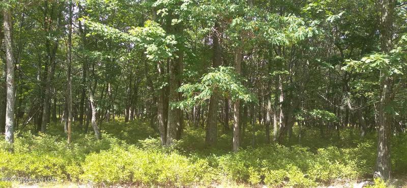 MVII 253 Big Mountain Drive, Hazle Twp, PA 18202  604022018 for Sale