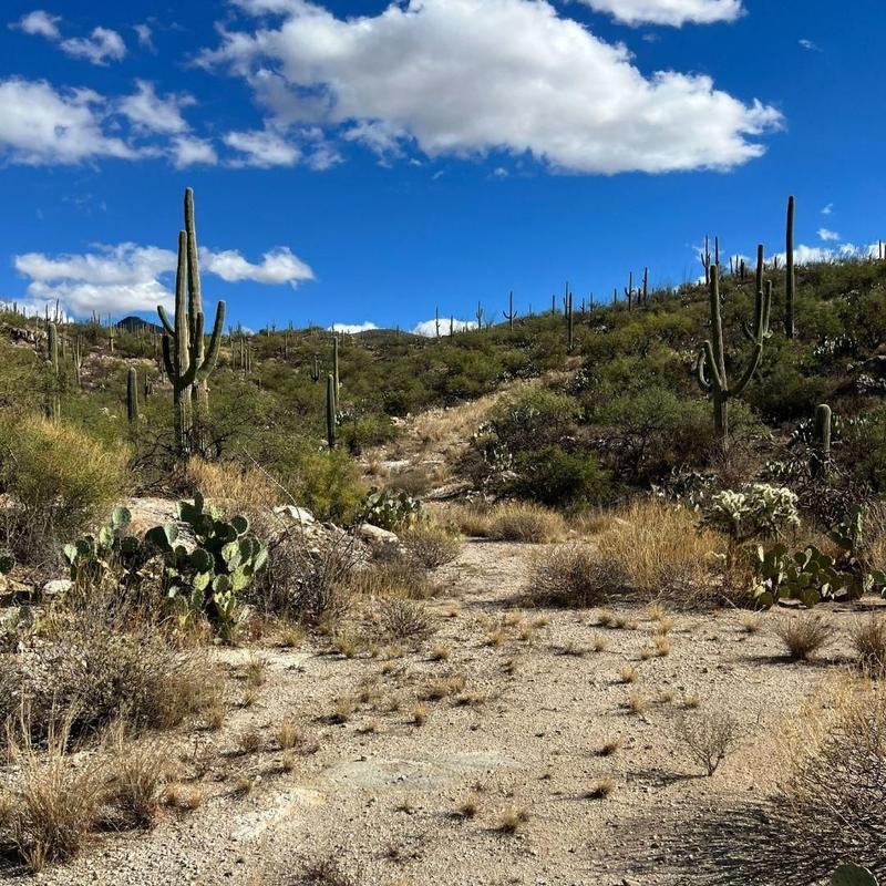 Tucson, Pima County, AZ Recreational Property, Undeveloped Land for sale Property ID: 418414067