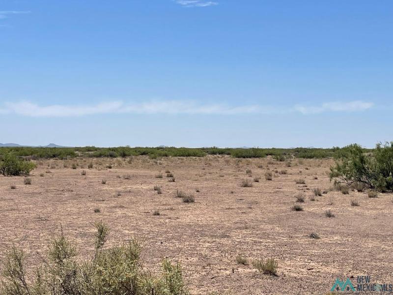 0000 AVENCIA RD SE, Deming, NM 88030 Land For Sale  MLS# 20233752