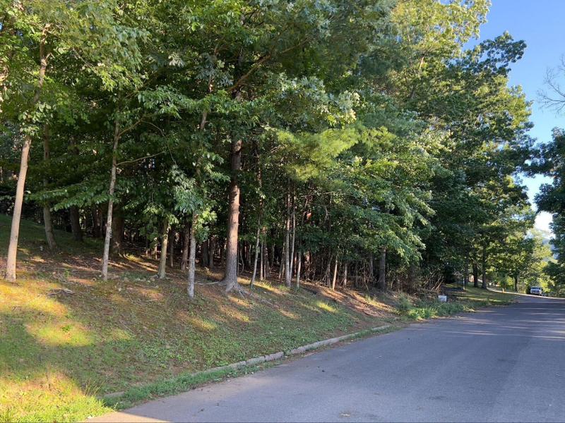 Buena Vista, Rockbridge County, VA Homesites for sale Property ID: 416994181