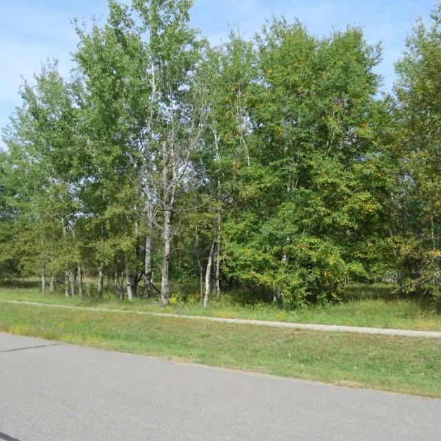 17 MULBERRY LN, Babbitt, MN 55706 Land For Sale  MLS# 6442528