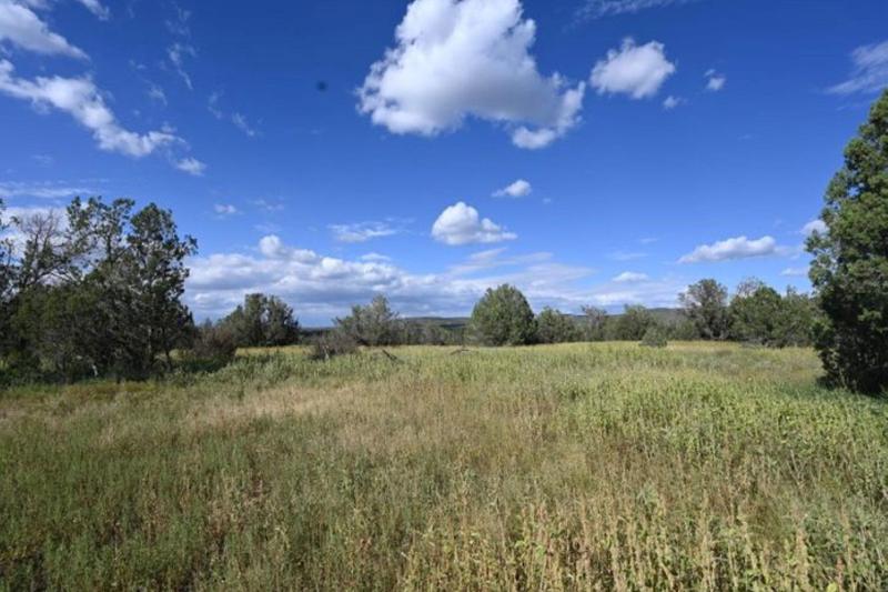 Williams, Coconino County, AZ for sale Property ID: 414990305