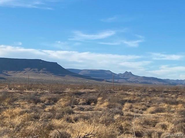 009D S INDIAN BEND ROAD, Yucca, AZ 86438 Agriculture For Sale  MLS# 009343