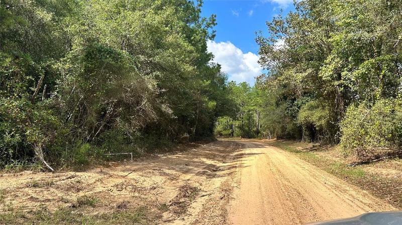 TBD Sumerall Rd, Livingston, TX 77351 for Sale