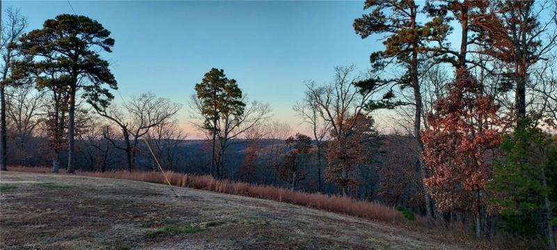 4 COUNTY ROAD 266, Eureka Springs, AR 72631 Land For Sale  MLS# 1253567