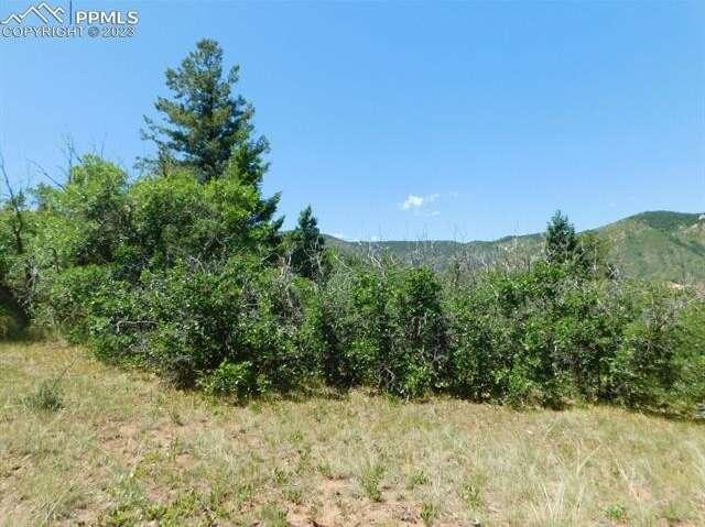 Lot 13 Perry Park Boulevard, Larkspur, CO 80118  607409490 for Sale