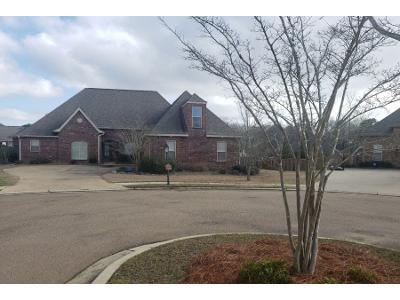 Pinnacle Cv for Sale
