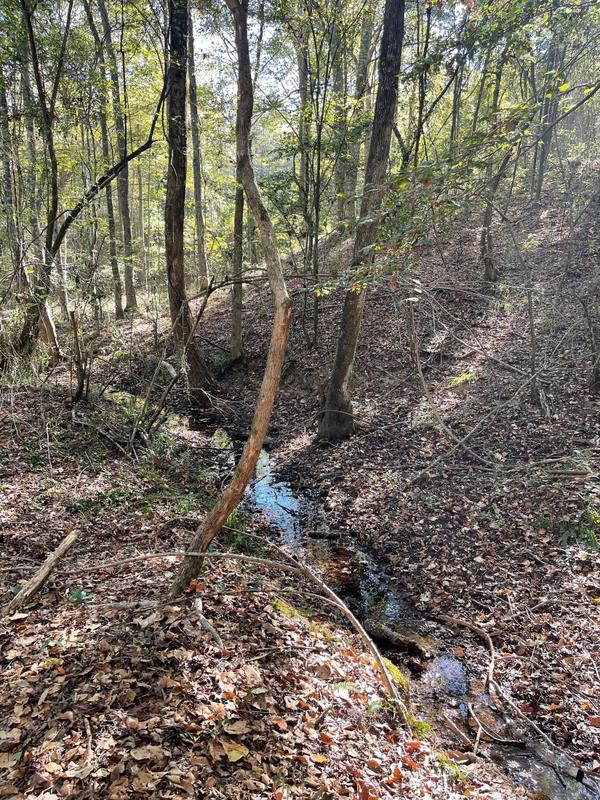 Prentiss, Jefferson Davis County, MS Hunting Property for sale Property ID: 418049597