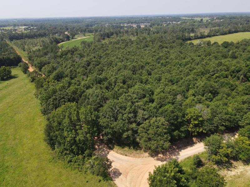 New Brockton, Coffee County, AL Homesites for sale Property ID: 418394012