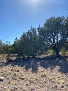 Prescott, Yavapai County, AZ Undeveloped Land, Homesites for sale Property ID: 413251126