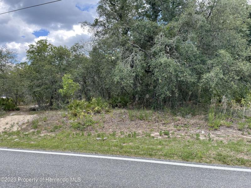Weeki Wachee, Hernando County, FL Undeveloped Land, Homesites for sale Property ID: 416460618