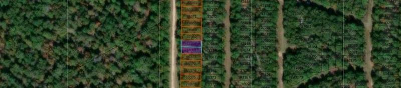 Tbd Pineneedle, Livingston, TX 77351 - MLS 89685636 for Sale