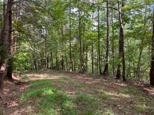 1533 Crystal Ln, Ranger, GA 30734 - MLS 20147119 for Sale