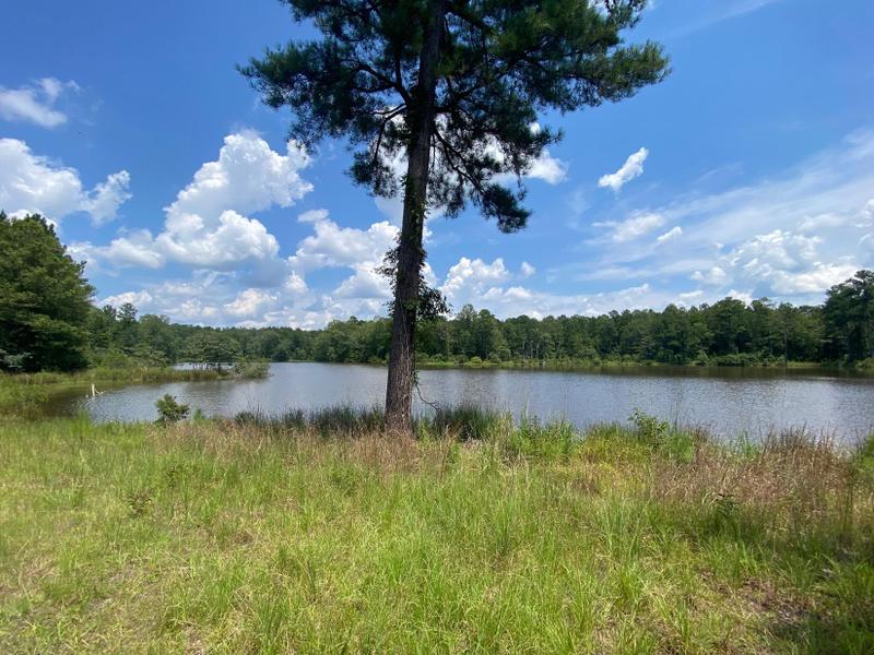 Hardaway, Macon County, AL Recreational Property, Timberland Property, Hunting Property for sale Property ID: 417283934