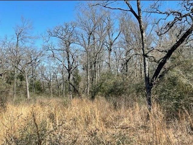 TBD COUNTY RD 317, Centerville, TX 75833 Single Family Residence For Sale  MLS# 20412532