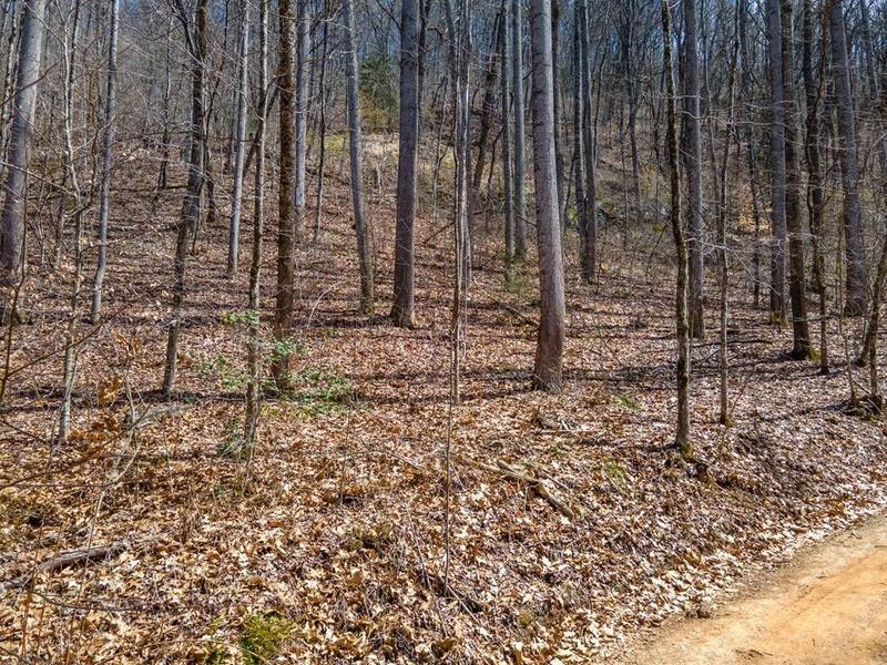 Franklin, Macon County, NC Undeveloped Land, Homesites for sale Property ID: 417958959