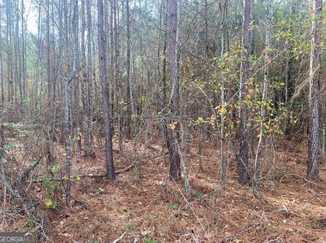 0 Adams Reeves Rd, Dearing, GA 30808 - MLS 10235968 for Sale