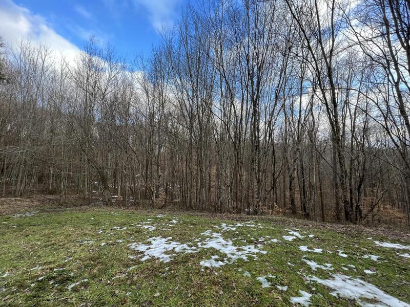 London, Laurel County, KY Undeveloped Land, Homesites for sale Property ID: 413179781