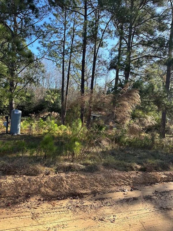 Douglas, Coffee County, GA Commercial Property, Homesites for sale Property ID: 418538031