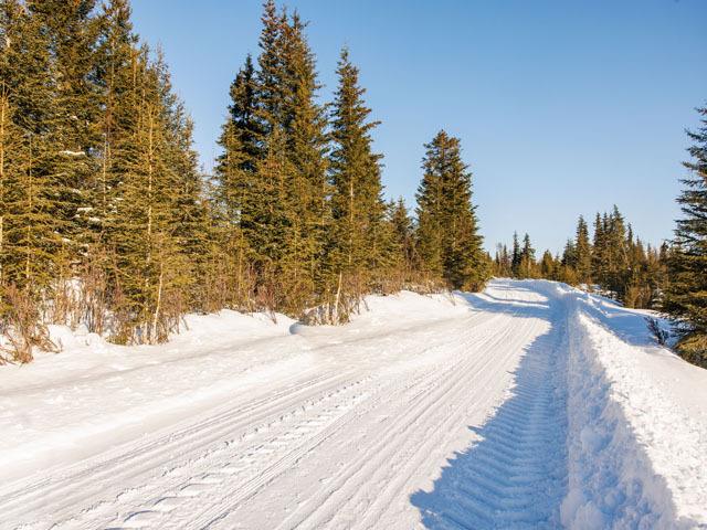 Alaska Land 1.63 Acre - Wooded Land - Anchor Point, AK for Sale