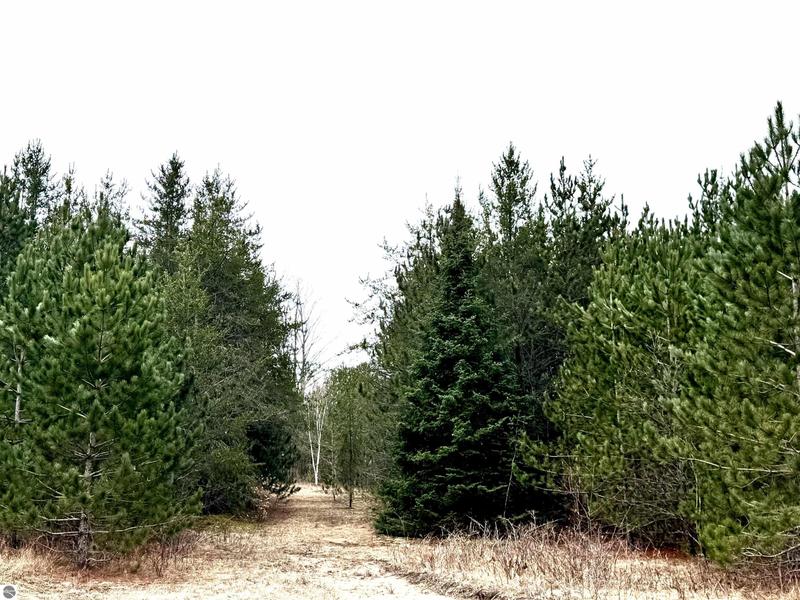 Kalkaska, Experience country living at its finest just a for Sale