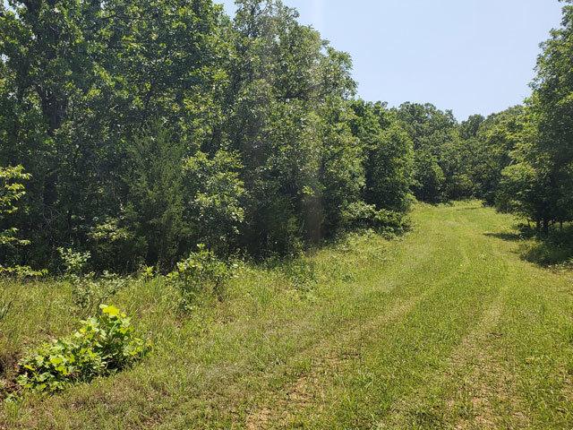 Missouri Land for Sale, 2.37 Acres Lake of the Ozarks