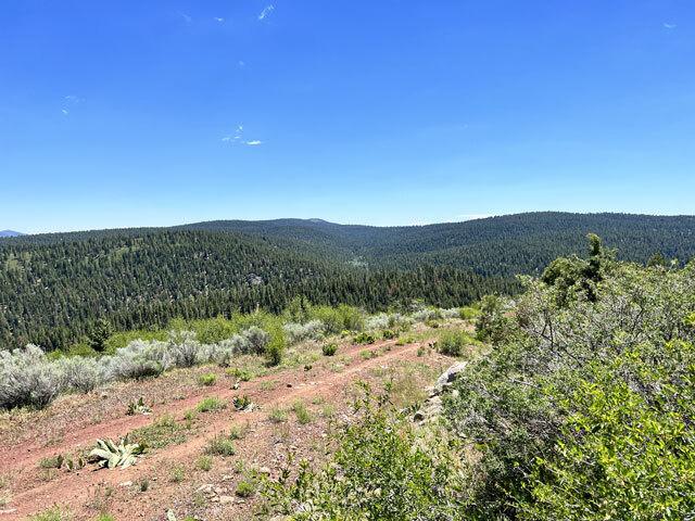 N. California Land for Sale, 0.94 acres, near Alturas