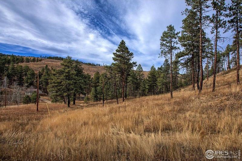 Bellvue, Larimer County, CO Undeveloped Land for sale Property ID: 418648918