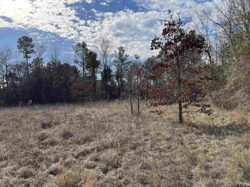 TBD HWY 84 W TR 1, Reklaw, TX 75784 Land For Sale  MLS# 23000090